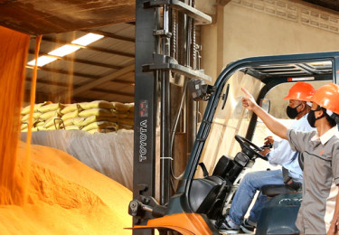 Industrial Feed Mobile